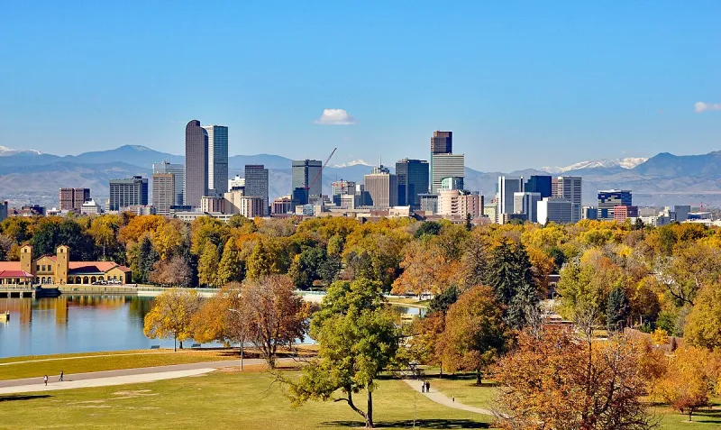 Autumn trees near urban skyline